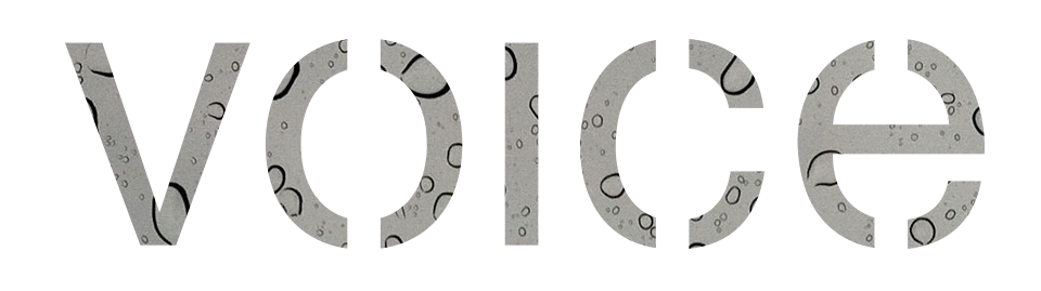 Put your alternate content here