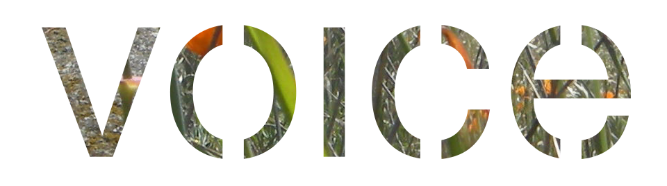 Put your alternate content here