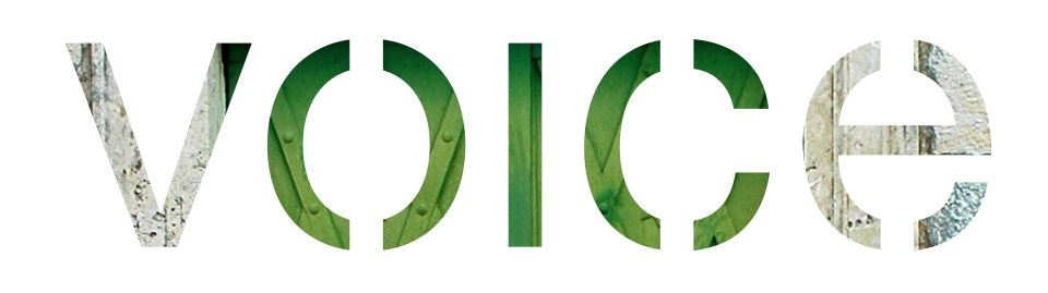 Put your alternate content here