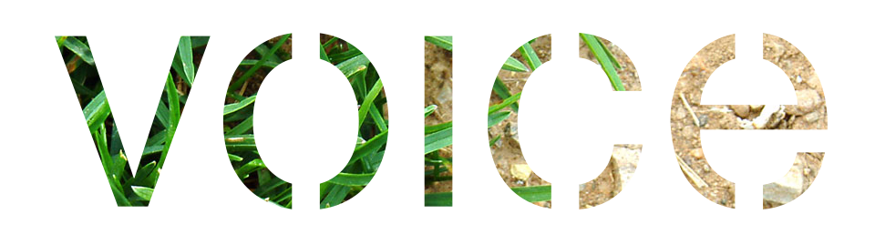 Put your alternate content here