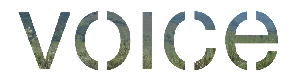 Put your alternate content here